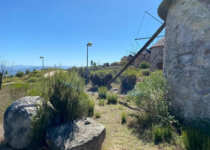 A Casa Amarela Guest 住宿加早餐酒店 Sao Martinho da Cortica