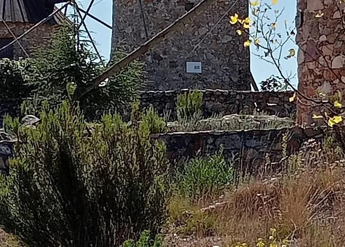 A Casa Amarela Guest 住宿加早餐酒店 Sao Martinho da Cortica