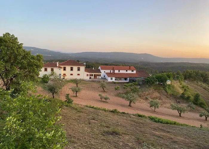 A Casa Amarela Guest